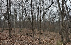 LOGGER Drive lot: 82, GORE, VA 22637