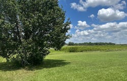 66 Lovorn Court, Flora, MS 39071