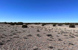 004p N N7204, St. Johns, AZ 85936