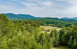 Tbd Cattle Dr., Whittier, NC 28789