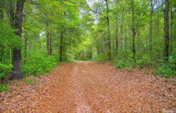 2855 Walling Rd, Milton, FL 32570