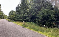 1127 Sawmill Rd 1127 Road, Pocono Lake, PA 18347