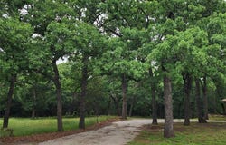 2101 FM 2181, Corinth, TX 76210