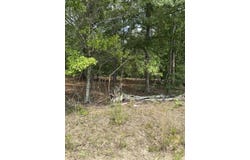 Cemetery Road, Elko, SC 29826