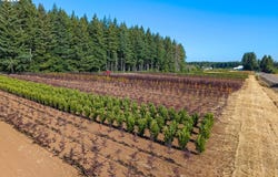 25220 S SPRINGWATER RD, Estacada, OR 97023