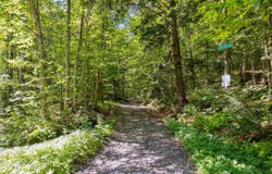 0 Porter Road, Barnard, VT 05031