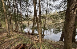 Cree Trail, Gaylord, MI 49735