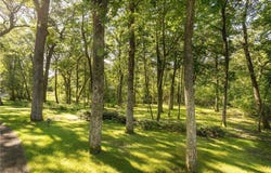 2807 Government Point Road NE, Alexandria, MN 56308