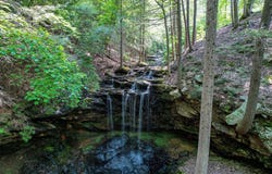 110 Falls Lane, Spencer, TN 38585