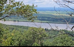 160 Acres America Road, Morrilton, AR 72110