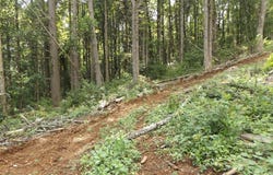 Tbd Danville Pike, Laurel Fork, VA 24352