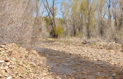 County Road 122A, Hesperus, CO 81326