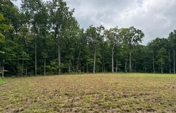 545 Shelby Way, Clarkrange, TN 38553