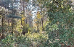 Schmidt Road, McComb, MS 39648
