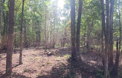 0 Mill Pond Lane, Concord, VA 24538