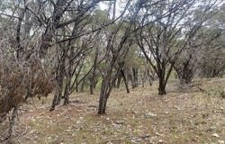 20902 Stone Cliff DR, Lago Vista, TX 78645