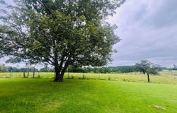 12501 STATE HWY 253, Brilliant, AL 35548