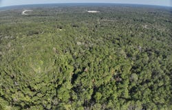 of Tilton Rd, Monticello, MS 39654