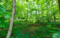 Woodfin Road, Sylva, NC 28779