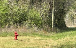 Snider Avenue lot: E, AL