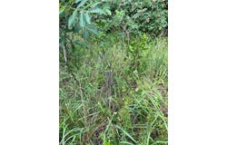 Tract 4 E 1090 Road, Henryetta, OK 74437