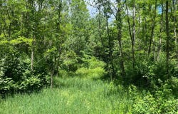 Lake Mills Road, Cairo, NY 12413