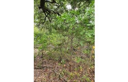 6520 Charleton Lane, Cleburne, TX 76033