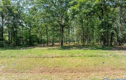 183 Horizon Street, Sylvania, AL 35988