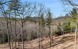Seed Tick Road, Clayton, GA 30525