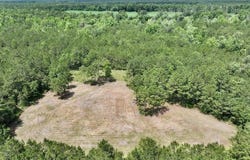 00 Nc-306, Grantsboro, NC 28529