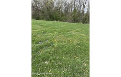 916 Woods Run Rd, Bardstown, KY 40004