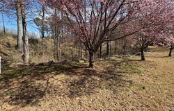 5204 Prestley Crossing Lane, Douglasville, GA 30135