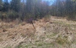 N2233 HWY 13, Ogema, WI 54459