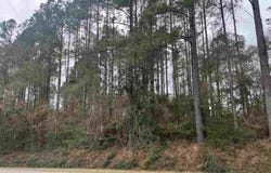 3000 Block N Pine Barren Rd, Mcdavid, FL 32568