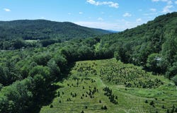 97 Stewart Lane, Shrewsbury, VT 05738