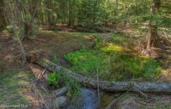 NNA Bottle Bay Rd, Sagle, ID 83860