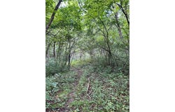 Lot 2 30th Avenue, Amery, WI 54001