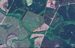 2800 Youngs Island Rd NW, Townsend, GA 31331