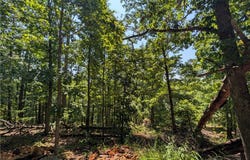 Canyon Village Road lot: 1, Rogers, AR 72756