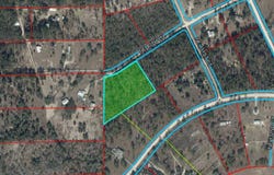 NE 40TH Lane, WILLISTON, FL 32696