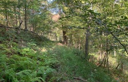 SHEEPSKIN HOLLOW RD, MCCONNELLSBURG, PA 17233