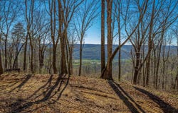 Moonlight Lane, Jasper, TN 37347