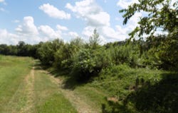 584 Murphy Lane, Flemingsburg, KY 41041