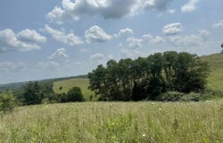 8865 Ky-22, Owenton, KY 40359