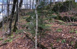 Outlot 3 SKYE DR, Upson, WI 54565