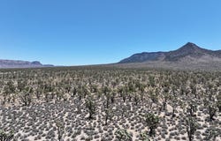 TBD Diamond Bar Road, Meadview, AZ 86444