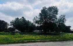 S Walnut, Pearsall, TX 78061