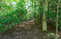 76 Drovers Lane, Fairview, NC 28730