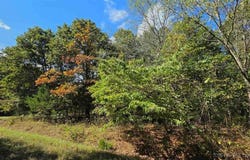 2172 Fay Place, Edwards, MO 65326