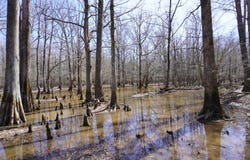 000 Hwy 167 N, Fordyce, AR 71742